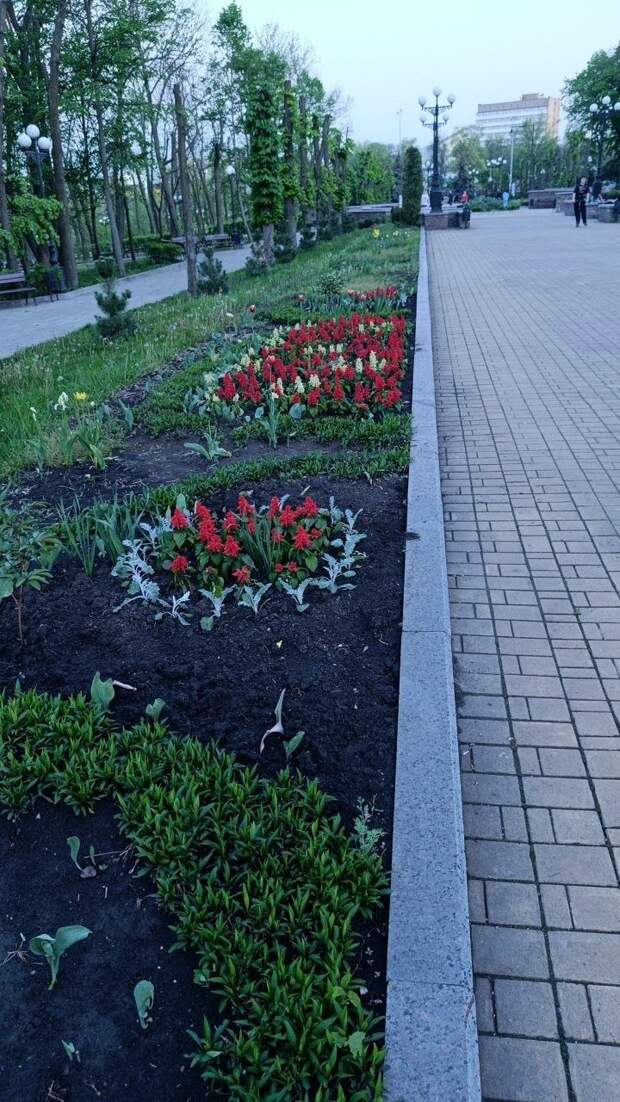 Парк Щербакова сегодня