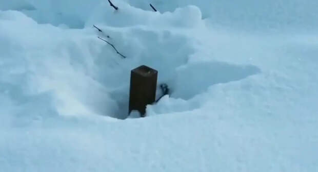 Противник сообщает о дистанционном минировании «Геранями» в Ровенской области