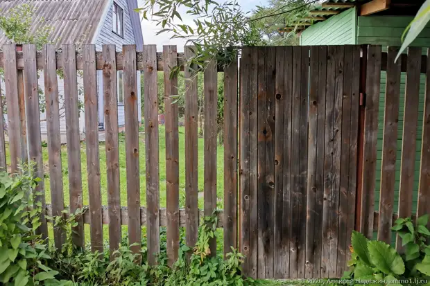 Недорогие и качественные дачные калитки в городе Пенза. Изготовление, продажа и монтаж.