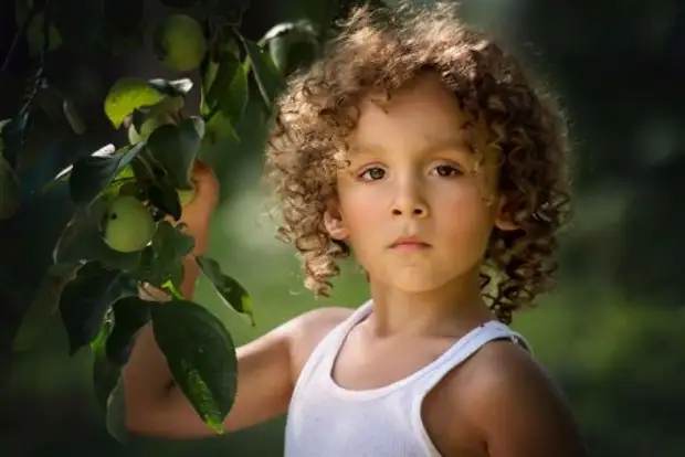 �������������� ������������ �����