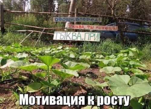Прикольные фотомемы на Бугаге (25 шт)