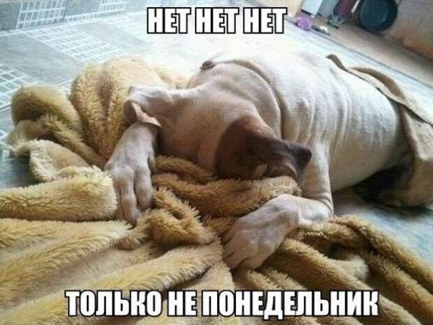 Позитивный пост+38