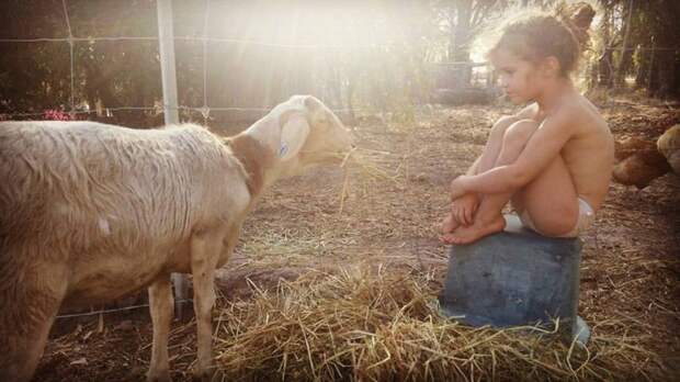 Эта маленькая девочка не знает жизни без животных дети, животные, милота