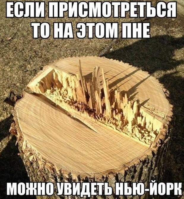 Иди в пень картинки