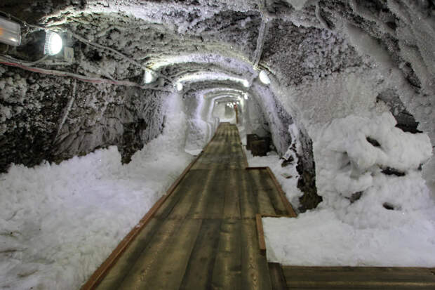 Оценена опасность вирусов в вечной мерзлоте