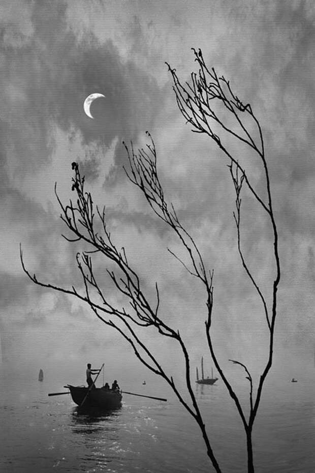 fan ho 31