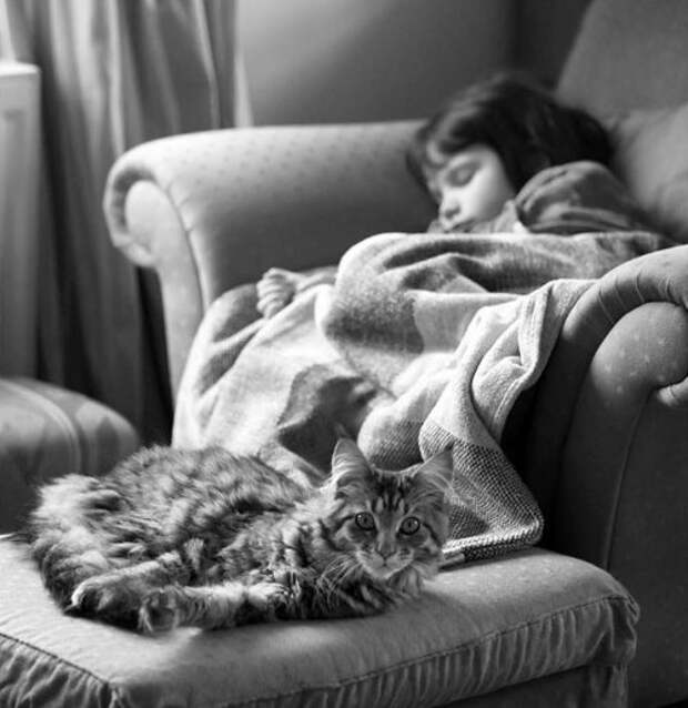 Задушевная дружба 5-летней девочки, страдающей аутизмом, и её терапевтической кошки (23 фото)