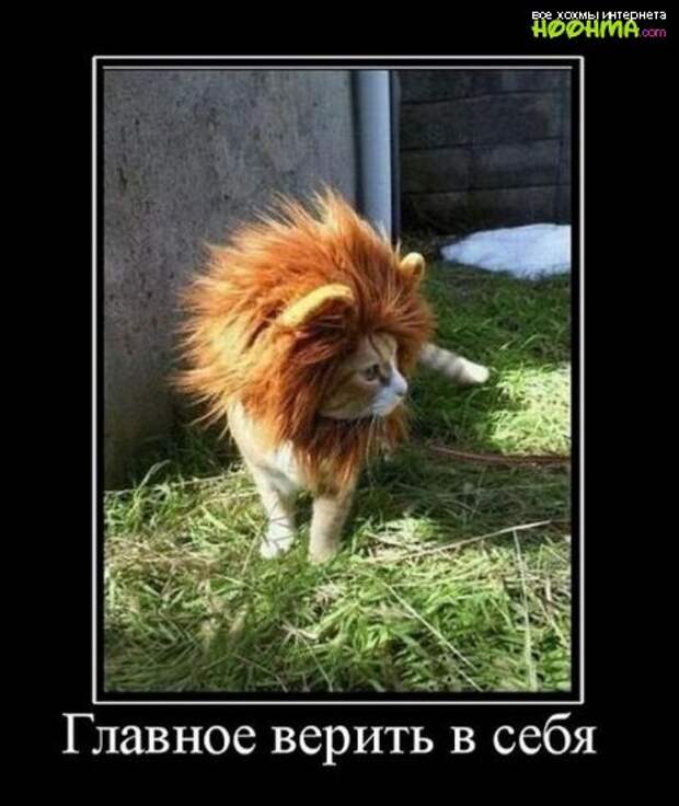 Лучшие демотиваторы на сегодня