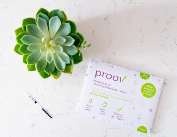 Proov