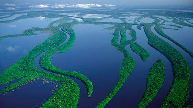 Бассейн реки Амазонка амазонка, животные, интересное, природа