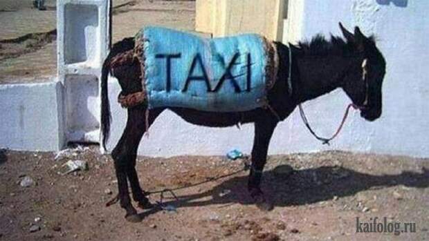 Прикольное такси (50 фото)