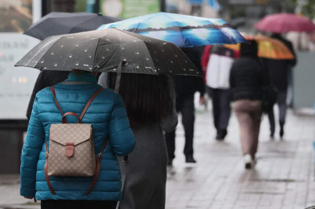 Погода 11 января: ливни, днём до +10