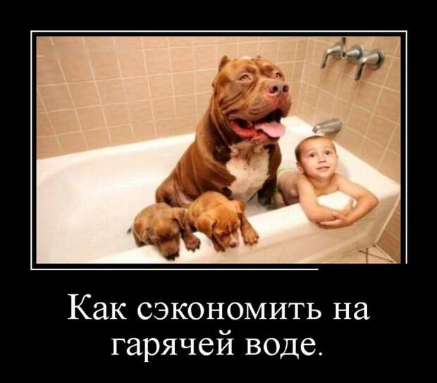 Как сэкономить на горячей воде