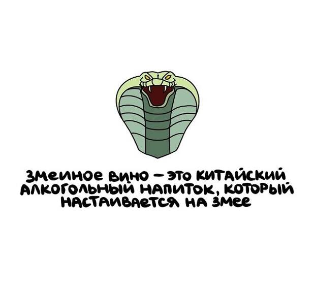 Интересные и коротенькие факты на все случаи жизни