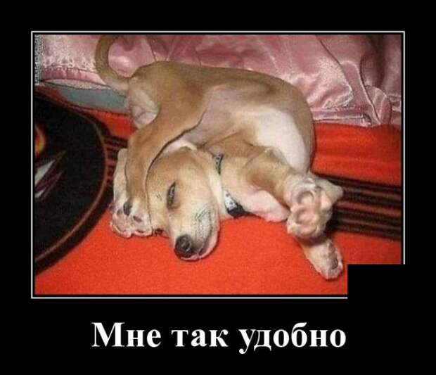 www.vsyako.net