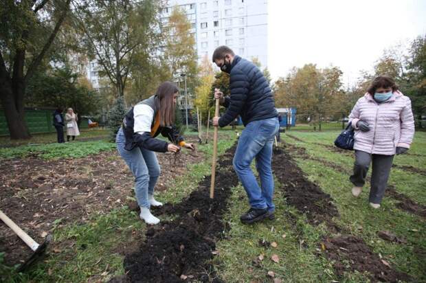 Идею акции по посадке деревьев в Лианозове властям подсказали жители района