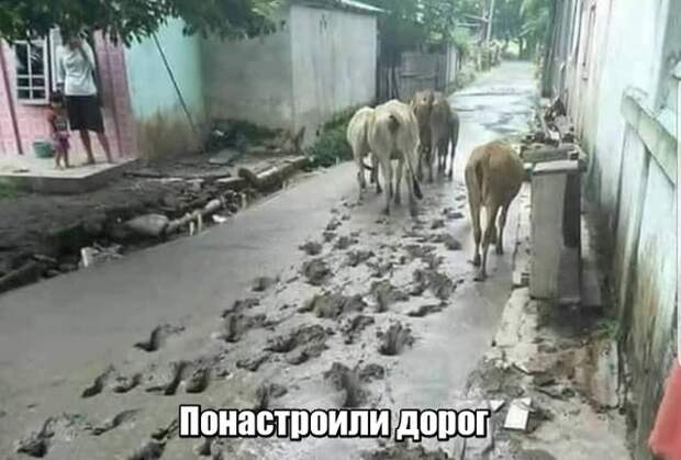Подборка картинок. Вечерний выпуск (20 фото)