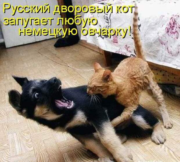 Мысли вслух :)
