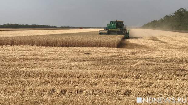 Евросоюз повысил пошлины на зерно из России и Белоруссии