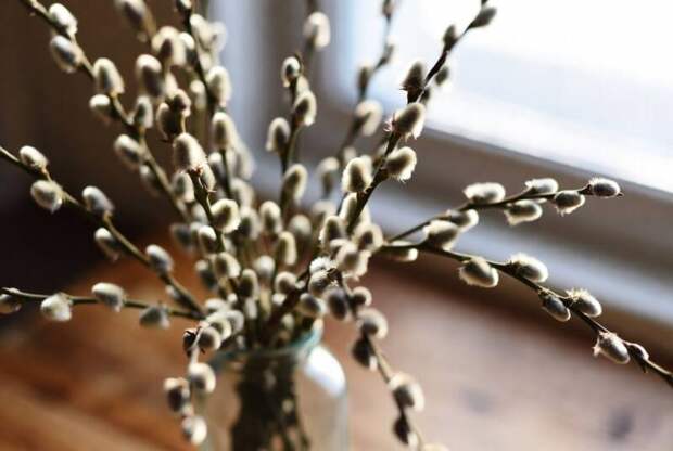 Вербное воскресенье в тени тревог: о вере, семье и поиске опоры в неспокойное время