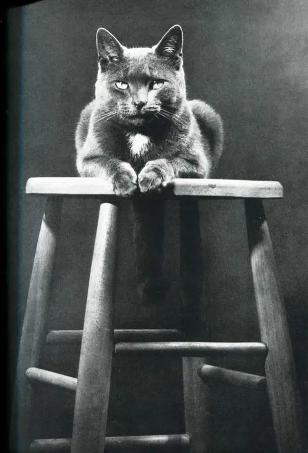 ������ ������� � �������, ������� 70 ��� �������������� �����   35