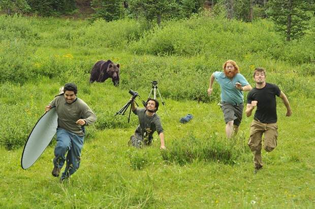 Бегущие от медведя фотографы