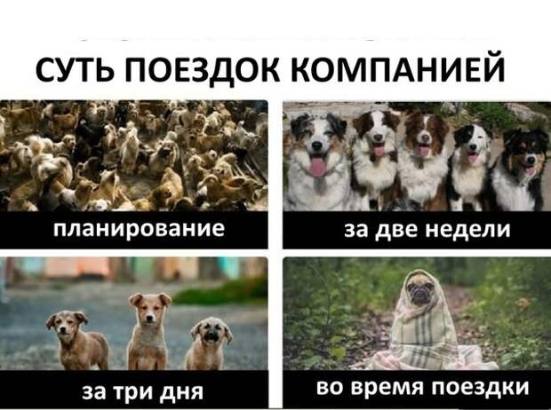 Вот почему так всегда? друзья, прикол, юмор