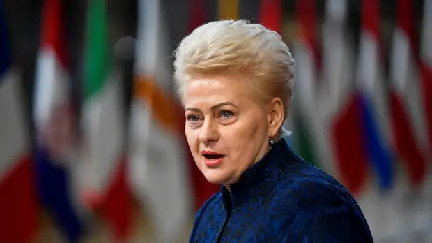 Грибаускайте заявила, что Литва продолжит поддерживать народ Украины