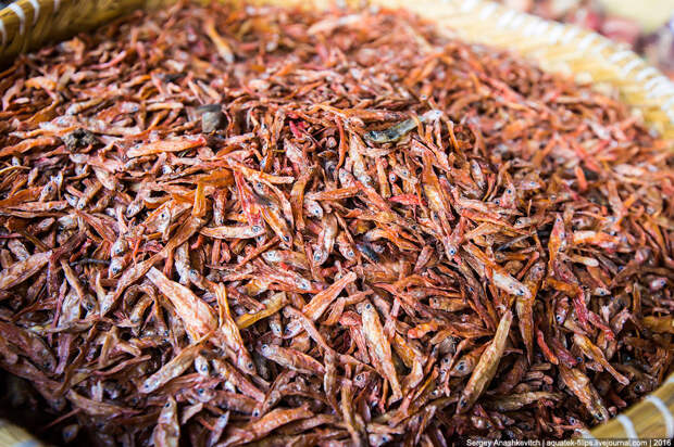 Санстанции здесь нет