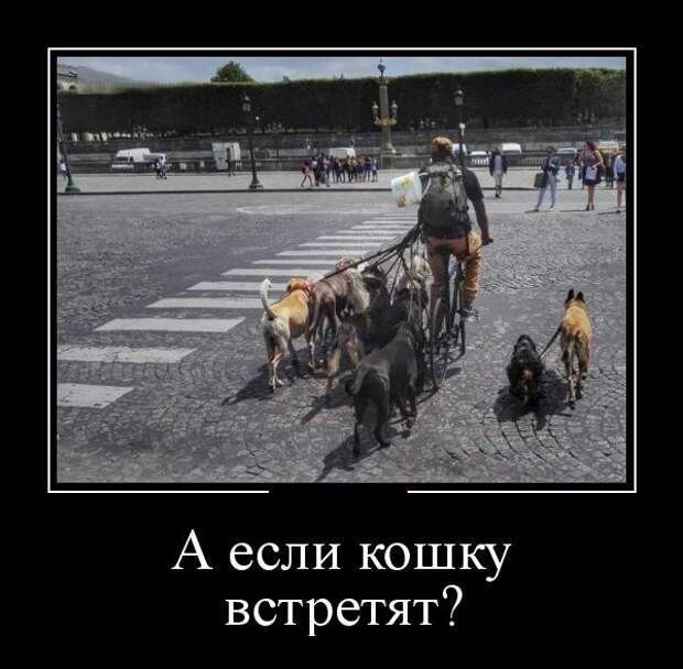Демотиваторы (30 фото)