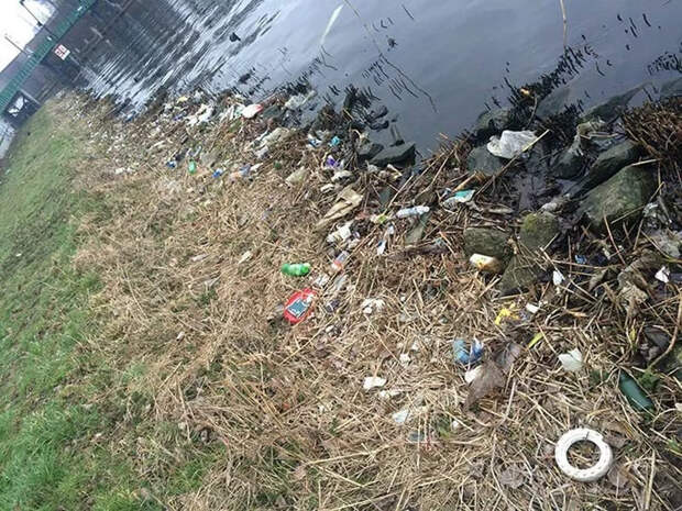 Парня бесило, что никто не убирает мусор на берегу реки. И он принял меры