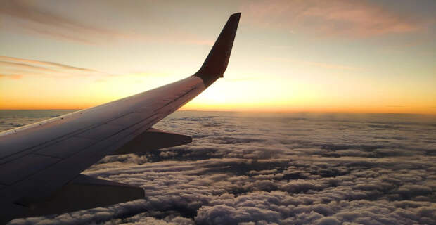 Турист из Египта захватил место в бизнес-классе и сорвал высадку в Шереметьево