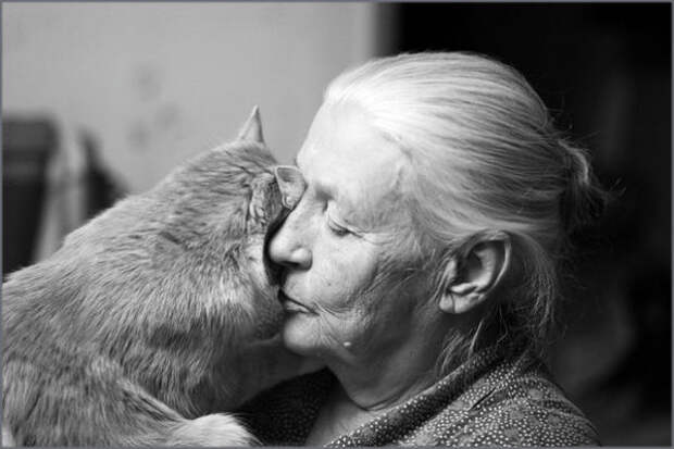 Картинки по запросу фото старуха с котом