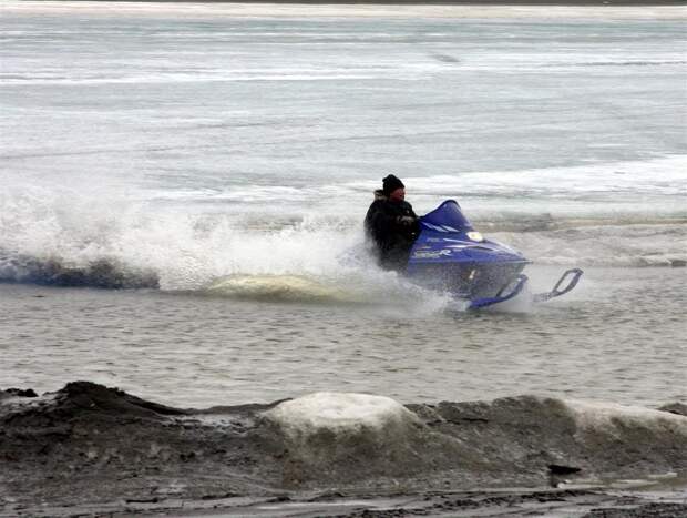 IMG_5382Large-1 IMG_5382Large-1