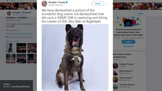Трамп пытается прикрыть нестыковки в "ликвидации" аль-Багдади "мимимишными" фото собаки