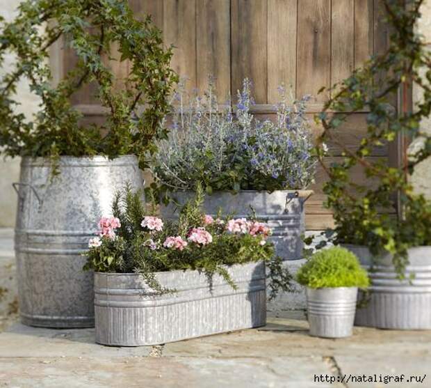 4045361_galvanized_planters_2_ (485x436, 145Kb)