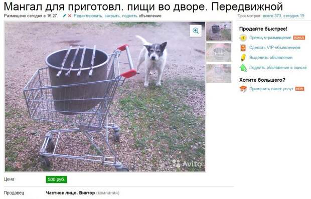 Шашлычный сезон официально открыт прикол, шашлык, юмор