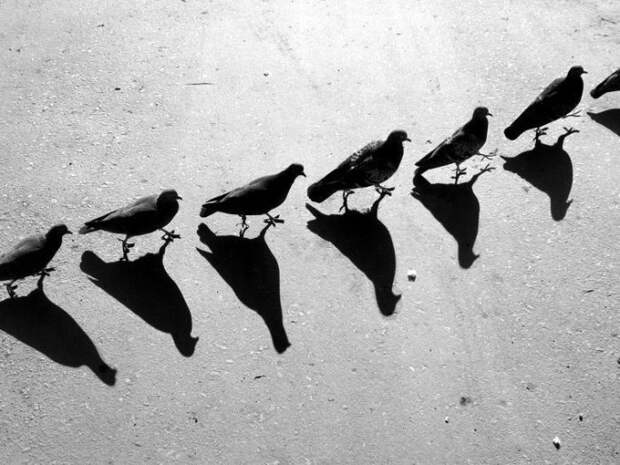 Игры с тенью. Сюрреалистические работы российского фотографа Алексея Меньшикова (Alexey Menschikov). 