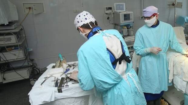 Россияне смогут бесплатно пересадить себе органы свиней, услуга будет доступна по ОМС