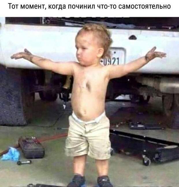 Авто приколы (40 фото)