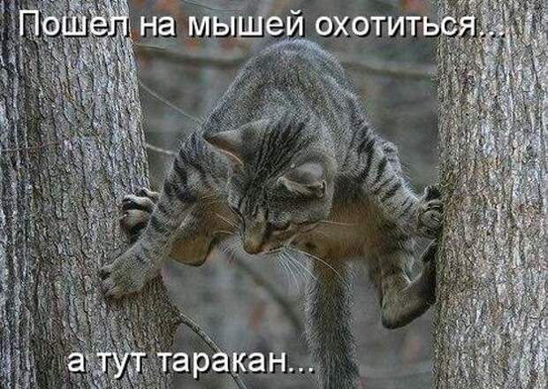 Мысли вслух :)
