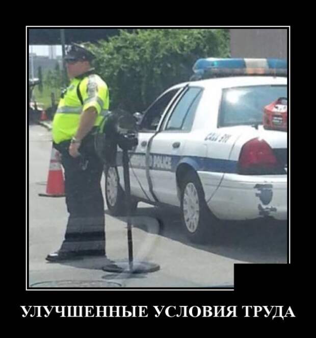 Демотиваторы (30 фото)