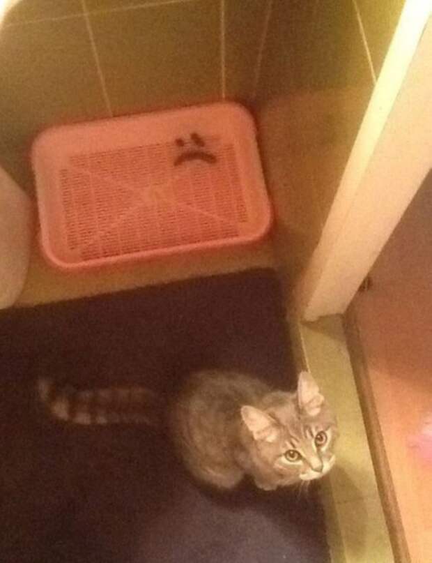 Когда камера удачно подловила тот самый момент