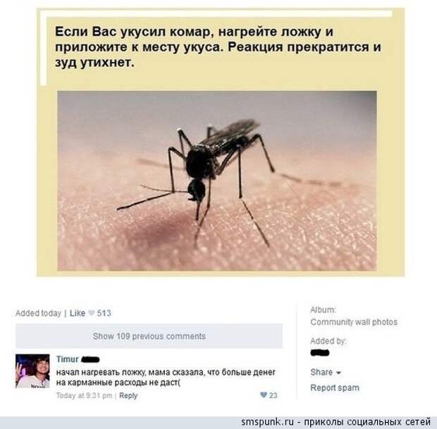 Если укусил комар, нагрейте ложку 