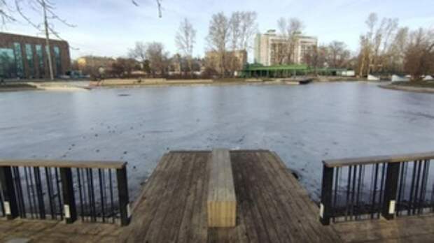 Замерзший пруд в парке