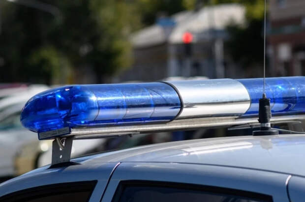 Девочка с велосипедом, которую 3 дня искали в Хакасии, сама вернулась домой