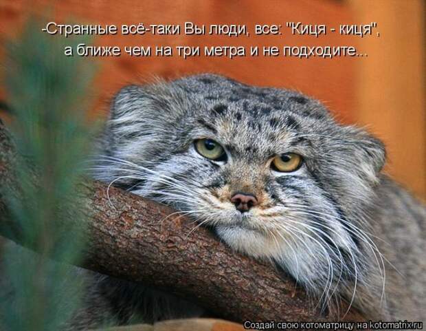 Мысли вслух :)