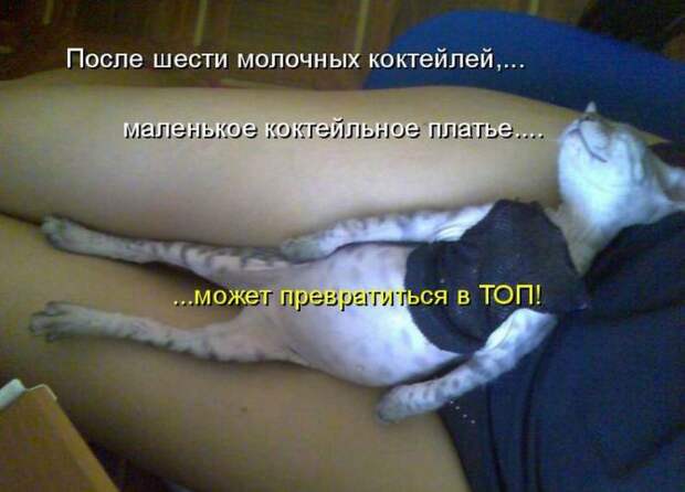 Мысли вслух :)