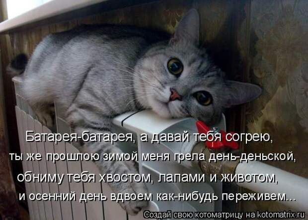 Котоматрица: и осенний день вдвоем как-нибудь переживем... Батарея-батарея, а давай тебя согрею, ты же прошлою зимой меня грела день-деньской, обниму тебя 