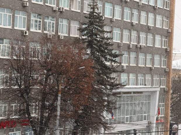 Тульскую область вновь засыпало снегом вопреки прогнозам синоптиков